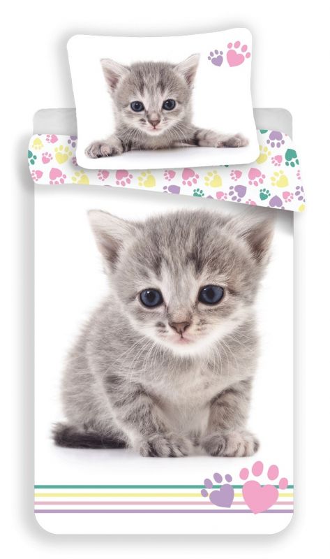 Povlečení bavlna fototisk Kotě - Kitten color 140x200 90x70 Jerry Fabrics