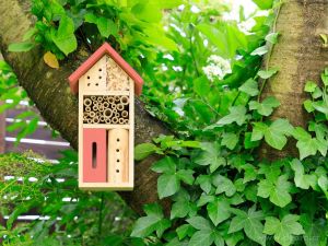 Dřevěný hmyzí hotel/domeček do zahrady lososový Dedra